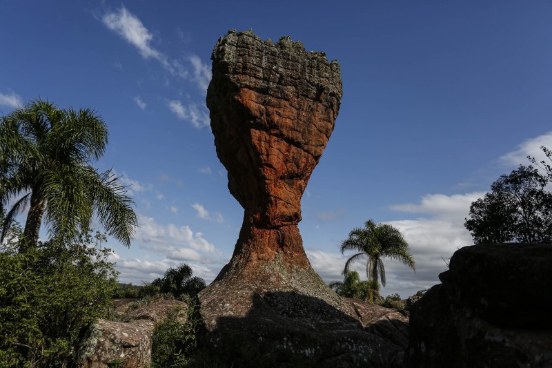 Foto: Jonathan Campos/AEN
