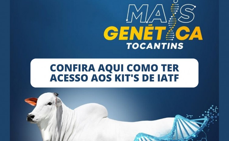 Programa Mais Genética Tocantins está disponibilizando 130 mil kit’s para Inseminação Artificial - Foto: Seagro/Governo do Tocantins