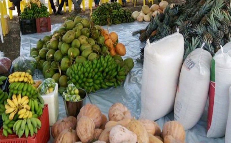 Em 2021, o programa adquiriu 858 toneladas de alimentos - Foto: Ruraltins/Governo do Tocantins