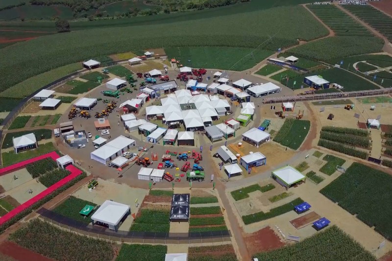 Foto: agro100.com.br