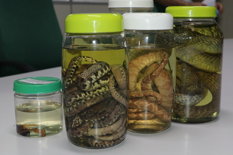 Foto: Reprodução/Secom Amazonas