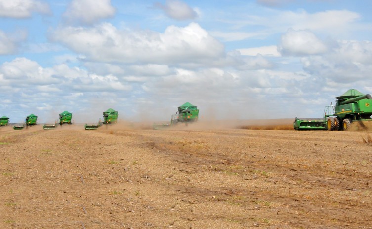 Soja foi um dos produtos com melhores resultados no VBP - Foto: Wilson Rodrigues/Governo do Tocantins