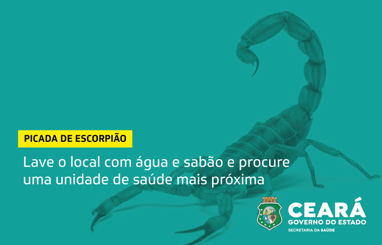 Foto: Reprodução/Secom Ceará