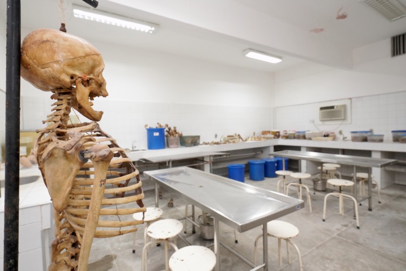 Foto: Reprodução/Secom Ceará