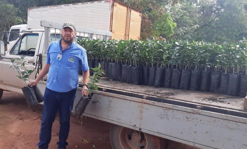Técnico da Empaer, André articulou todo o processo para aquisição das mudas - Foto por: Empaer