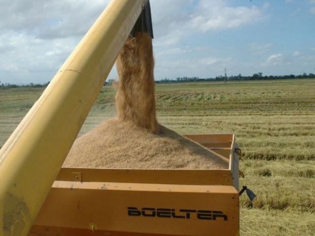  A Estação Experimental da Epagri em Itajaí (EEI) sedia nesta sexta-feira, 11, a 4ª Abertura Oficial da Colheita do Arroz em Santa Catarina. A cerimônia de abertura acontece a partir das 11h, mas o evento inicia às 8h30min com café de boas-vindas. Das 9h 