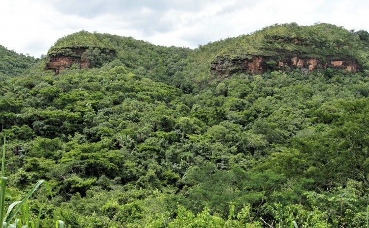 O ICMS Ecológico tem como objetivo beneficiar os municípios que desenvolvem políticas públicas de proteção do meio ambiente - Foto: Marcel de Paula/Governo do Tocantins