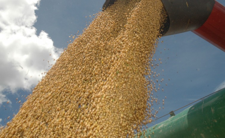 Produção de grãos no Tocantins, mais uma vez, deve superar a marca de safras anteriores, confirmando o potencial agrícola do Estado - Foto: Madson Maranhão/Governo do Tocantins
