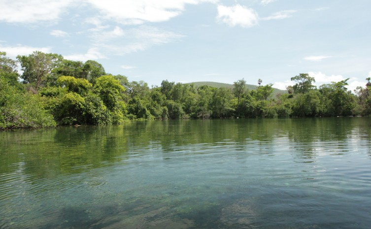 Tocantins dá mais um passo importante no processo de elaboração do Anteprojeto de Lei que institui a Política de Pagamento por Serviços Ambientais - Foto: Fernando Alves/Governo do Tocantins
