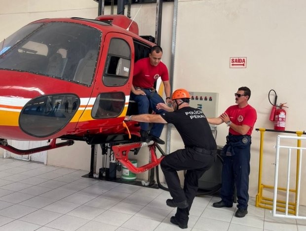 Foto: Divulgalção / SAP  