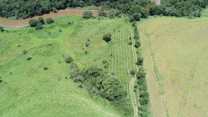 Foto: Reprodução/Secom Goiás