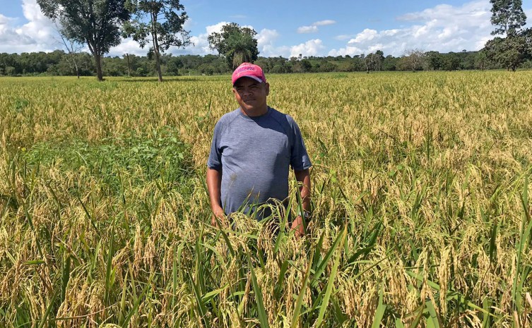 Sementes do Mesa Farta foram adquiridas com recursos do Fundo Estadual de Combate e Erradicação à Pobreza e distribuídas pela Seagro - Foto: Seagro/Governo do Tocantins