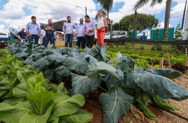  Foto: Julio Cavalheiro/Secom