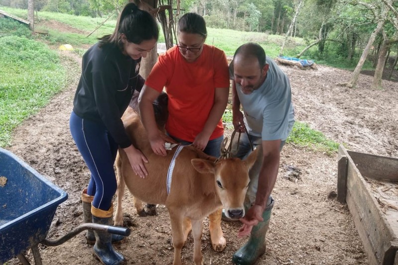 Foto: IDR-PARANÁ