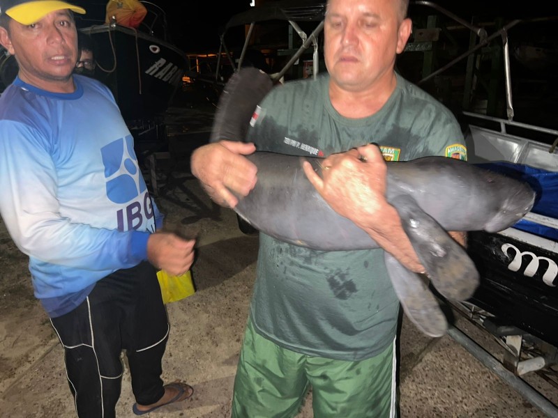 Foto: Reprodução/Secom Amazonas