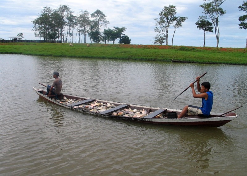 Foto: Reprodução/Secom Amazonas
