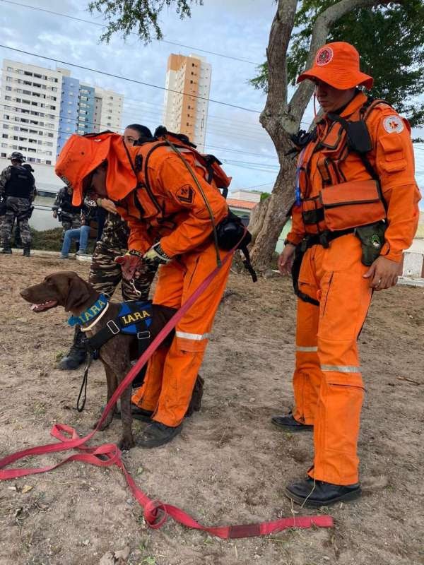 Foto: Reprodução/Secom Ceará