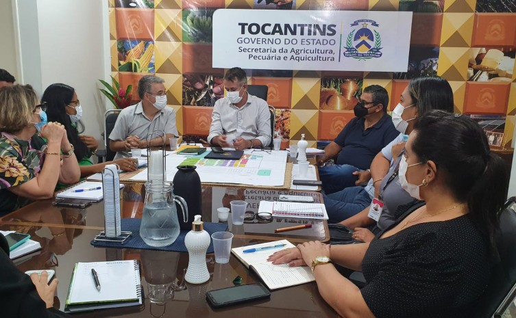 Reunião visa alinhar a definição dos protocolos de segurança contra a covid-19 - Foto: Seagro/Governo do Tocantins