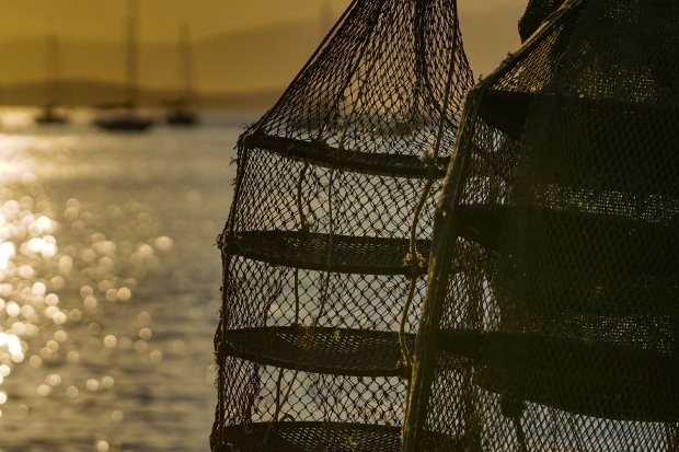  A Secretaria de Estado da Agricultura, da Pesca e do Desenvolvimento Rural anuncia, nesta sexta-feira, 18, a manutenção da interdição das áreas de cultivo de molusco de Zimbros e Canto Grande, em Bombinhas, devido à alta concentração da ficotoxina Ácido 