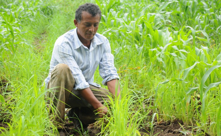 Interessados deverão encaminhar o formulário devidamente preenchido e a documentação comprobatória - Foto: Governo do Tocantins