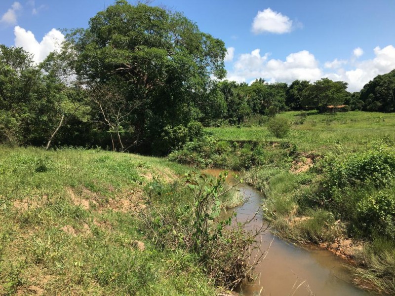 Córrego Fundo Barra do Garças - Foto por: CBH Alto Araguaia