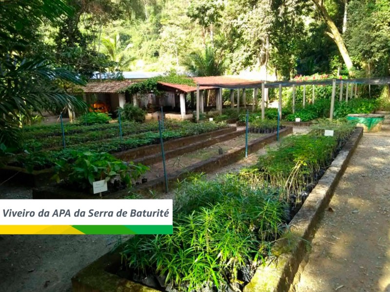 Foto: Reprodução/Secom Ceará