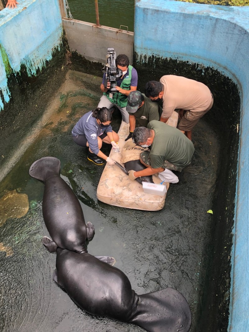 Foto: Reprodução/Secom Amazonas