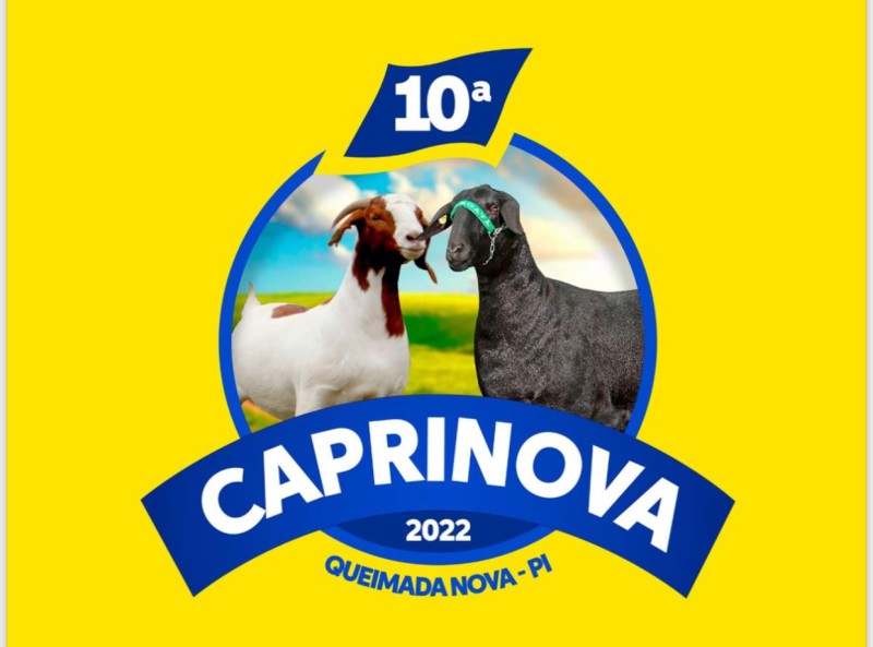 Foto: Reprodução/Secom Piauí