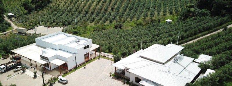 Erasmo Pereira / Epamig
