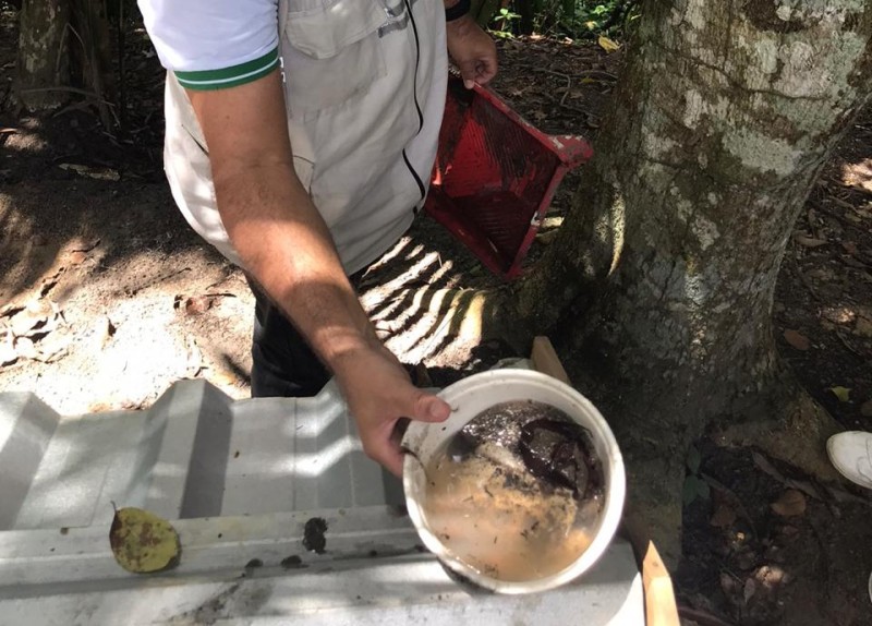 Foto: Reprodução/Secom Amazonas