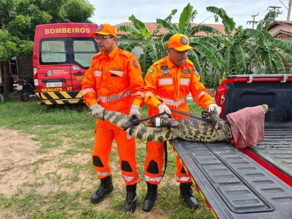 Foto: Reprodução/Secom Ceará