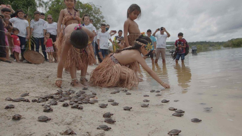 Foto: Reprodução/Secom Amazonas