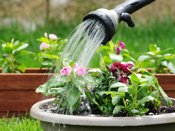 A captação de água pode ser utilizada para molhar os jardins, por exemplo