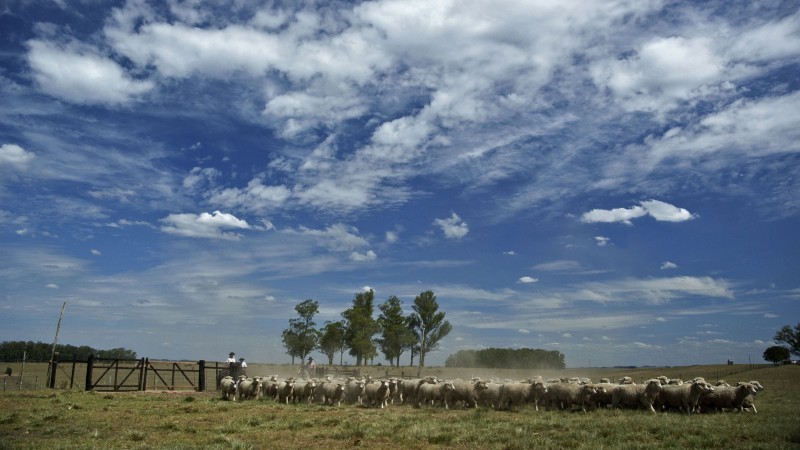 Na última semana, temperatura mínimo no Estado foi 11,2ºC e máxima chegou a 29,7ºC - Foto: Fernando Dias / Seapdr / Arquivo