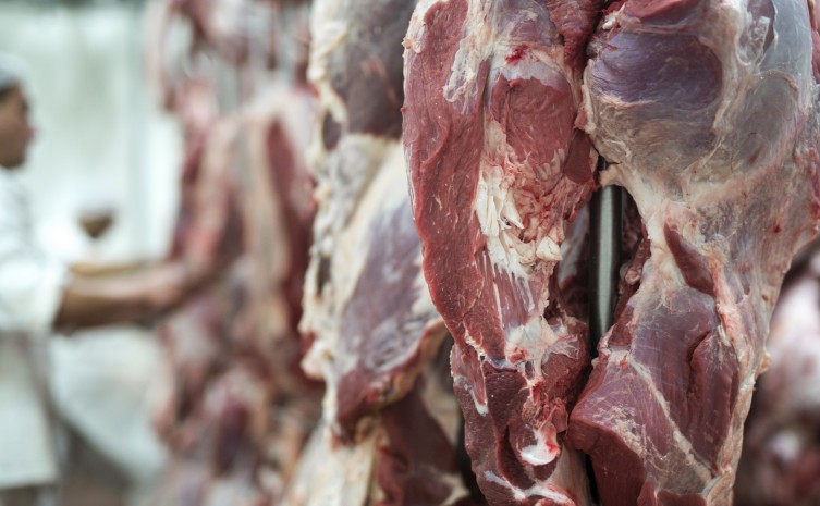 Lei nº 3.922 regulamenta a concessão de benefícios fiscais do Programa de Industrialização Direcionada, Proindústria, para o setor frigorífico e de produção de carne bovina - Foto: Sics/Governo do Tocantins