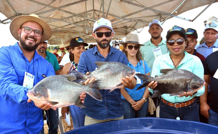 Piscicultura será um dos temas de palestras durante a programação do Ruraltins na Agrotins - Foto: Delfino Miranda/Governo do Tocantins