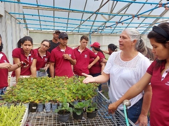 Foto: Reprodução/Secom Espírito Santo