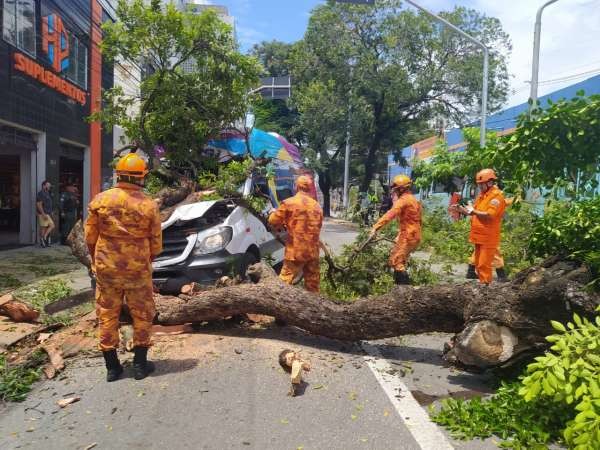 Foto: Reprodução/Secom Ceará