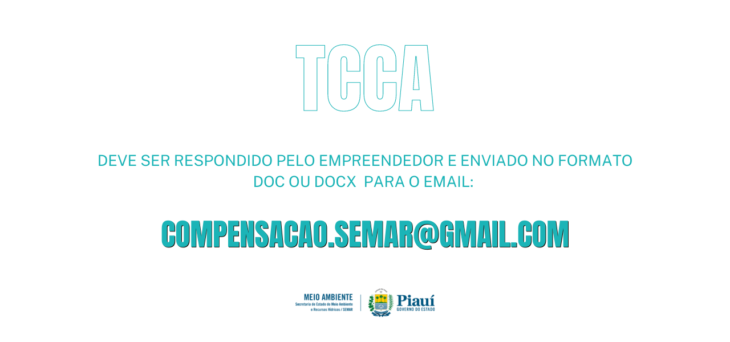 Foto: Reprodução/Secom Piauí