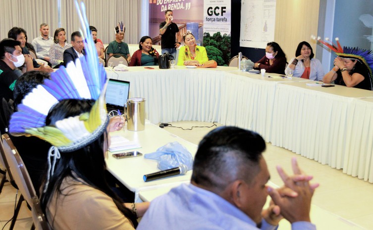 Comitê Regional para Parcerias com Povo Indígenas é um espaço de geração e de nivelamento de conhecimento - Foto: Marcel de Paula/Governo do Tocantins