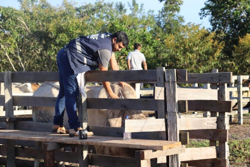 Foto: Reprodução/Secom Amazonas