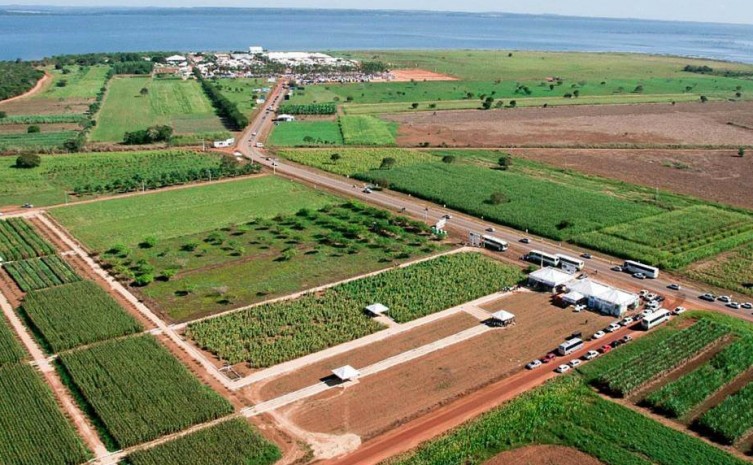 Tocantins reúne condições ideais para a produção agrícola moderna - Foto: Governo do Tocantins