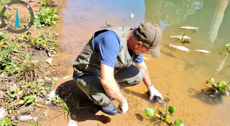 Sema multa Usina de Manso por morte de peixes - Foto por: Sema/MT