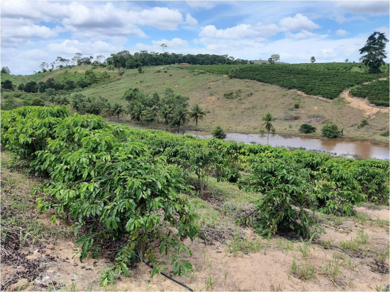 Foto: Reprodução/Secom Espírito Santo