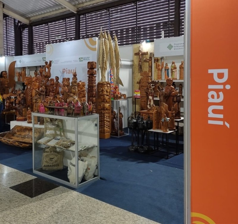 Foto: Reprodução/Secom Piauí