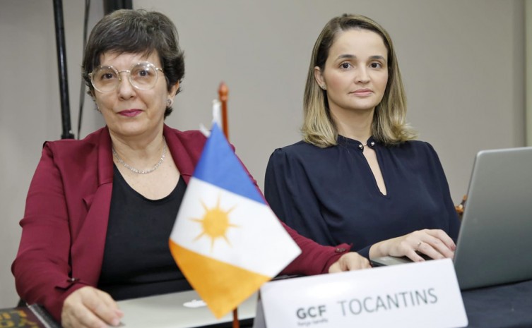 Representantes dos estados da Amazônia Legal tratam de estratégias conjuntas para combate ao desmatamento ilegal e incêndios - Foto: Governo do Tocantins