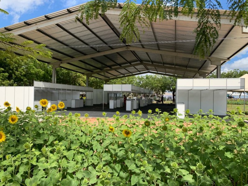 Visão externa do Pavilhão Agro, com os girassóis. (Foto: Divulgação) - Visão externa do Pavilhão Agro, com os girassóis. (Foto: Divulgação)