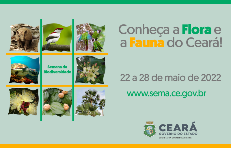 Foto: Reprodução/Secom Ceará