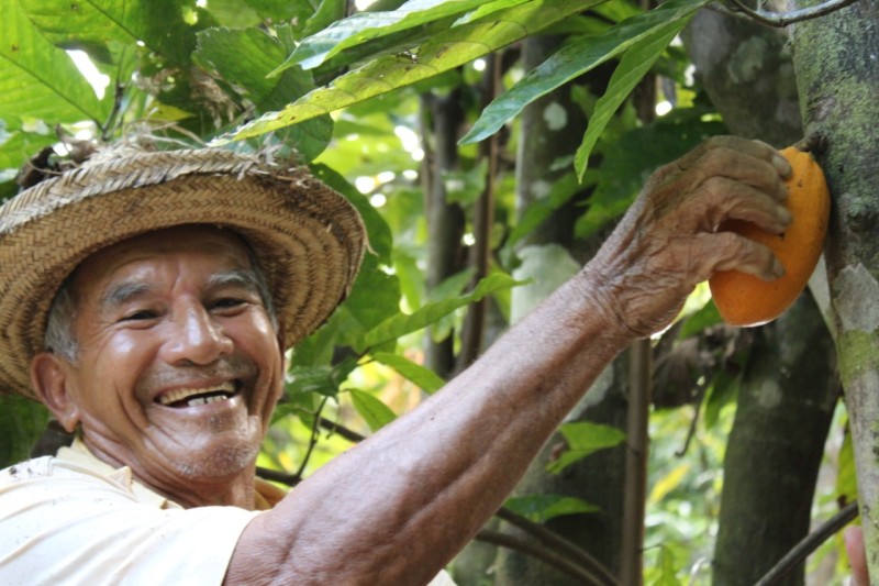 Foto: Reprodução/Secom Amazonas