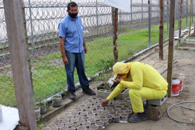 Foto: Reprodução/Secom Amazonas